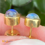 18K Yellow Gold Blue Moonstone Stud Earrings