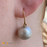 14K Yellow Gold South Sea Pearl Fish Hook Dangle/Drop Earrings