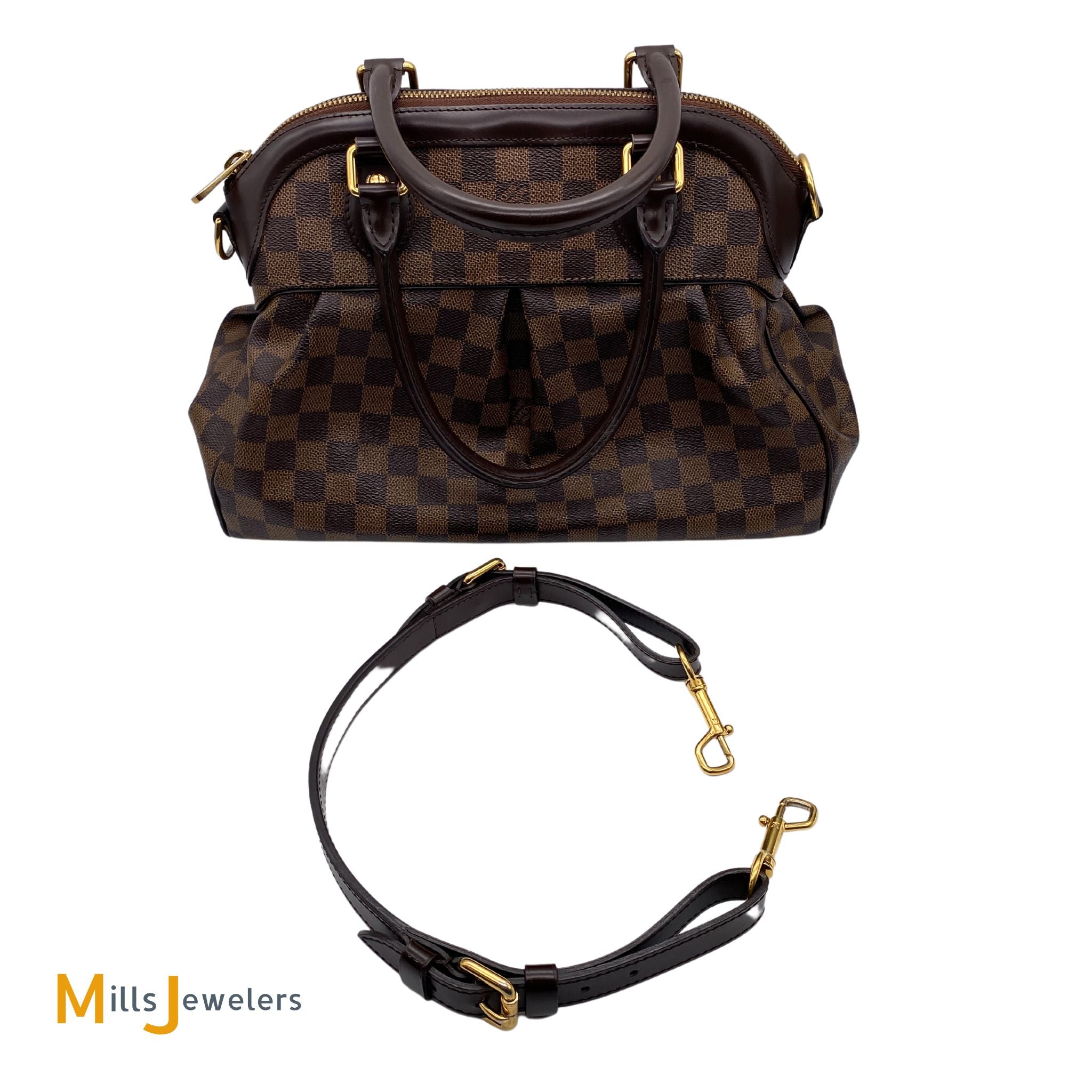 Louis Vuitton Pre-owned Damier Ebene Trevi PM Handbag