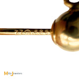 T. Sardelli & Sons 14k Yellow Gold Jade Post Dangle Earrings