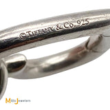 Tiffany & Co. Retired 925 Silver Heart Clasp Link Choker Necklace