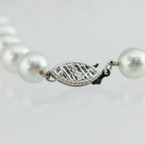 Round Akoya 14K White Gold Pearl Strand 18”